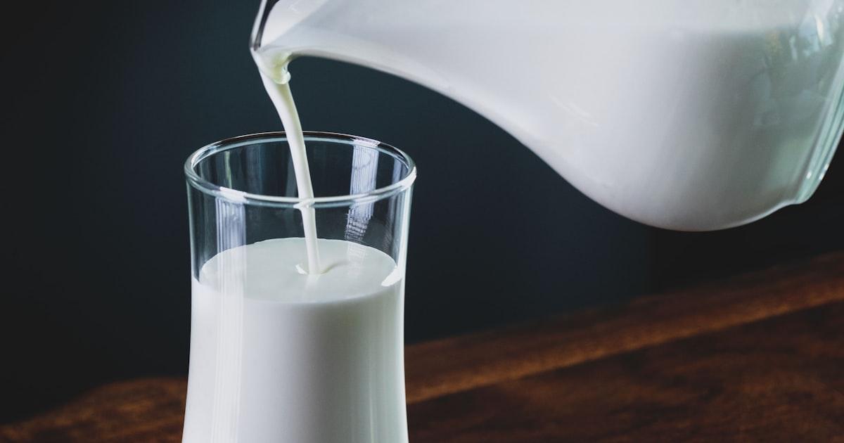 5 Distribution KPIs Every Dairy Operations Head Should Track
