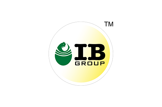 IB Group